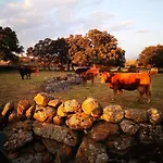 La Cuadra *