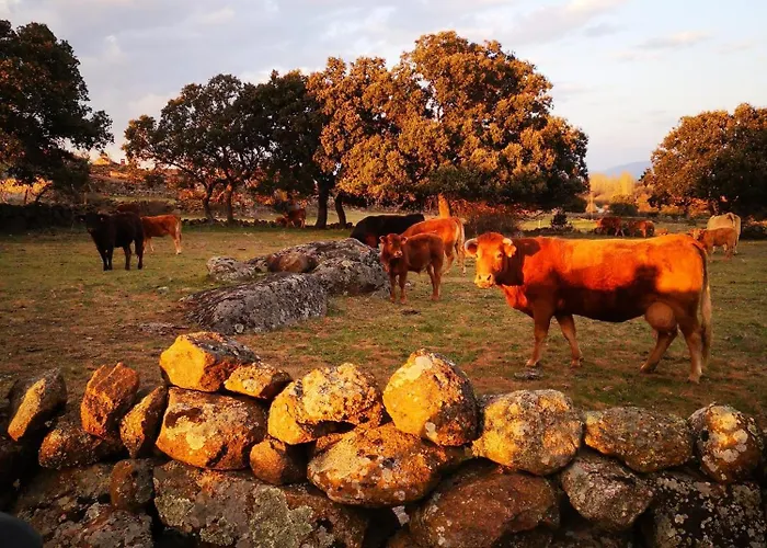 La Cuadra Hétvégi ház